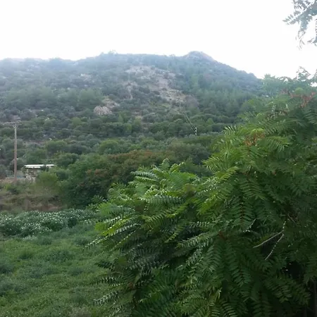 וילה Alsos House *